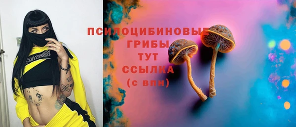 молекула духа Тихорецк