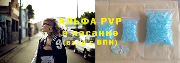 индика Белоозёрский