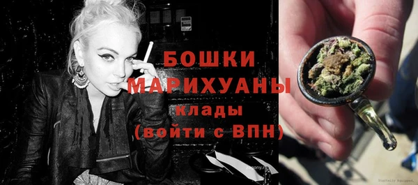 индика Белоозёрский